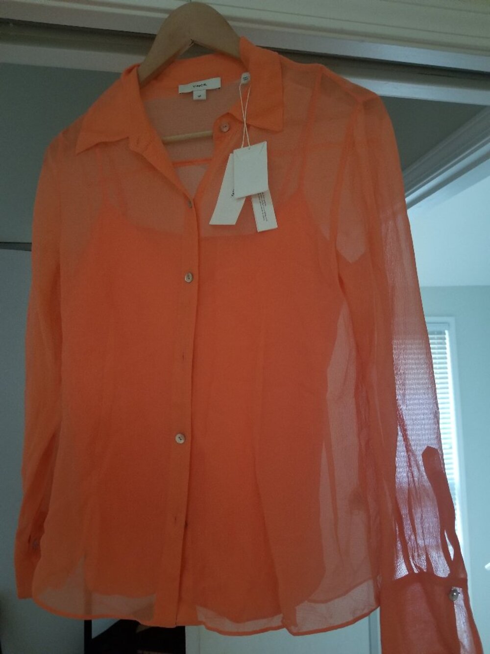 Sheer Long Sleeve Shirt